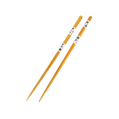 hashi light hashi light